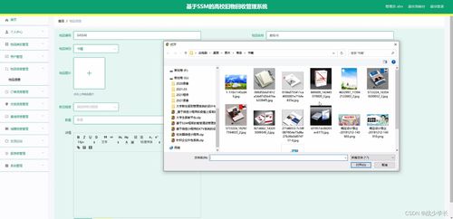 基于SSM框架的高校旧物回收管理系统设计与实现